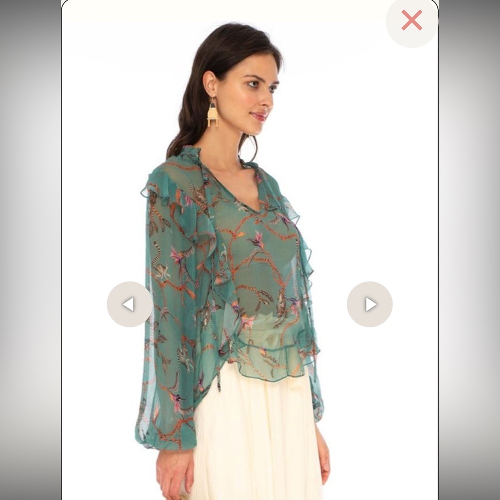 NWOT Caballero Mila Sheer Ruffled Blouse  “Monkey business”  $179